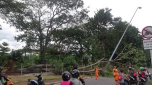 IMG-20181223-WA0112