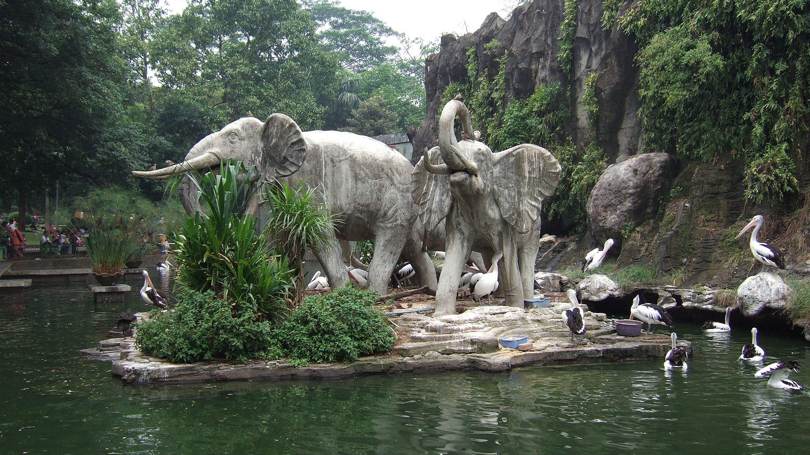1600px-Ragunan_zoo_Jakarta_Indonesia