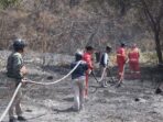 IMG_20260817_121002